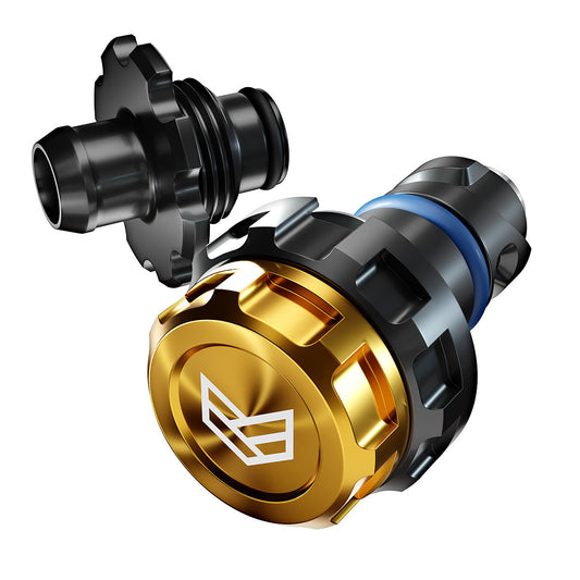 FORD EASY OIL DRAIN